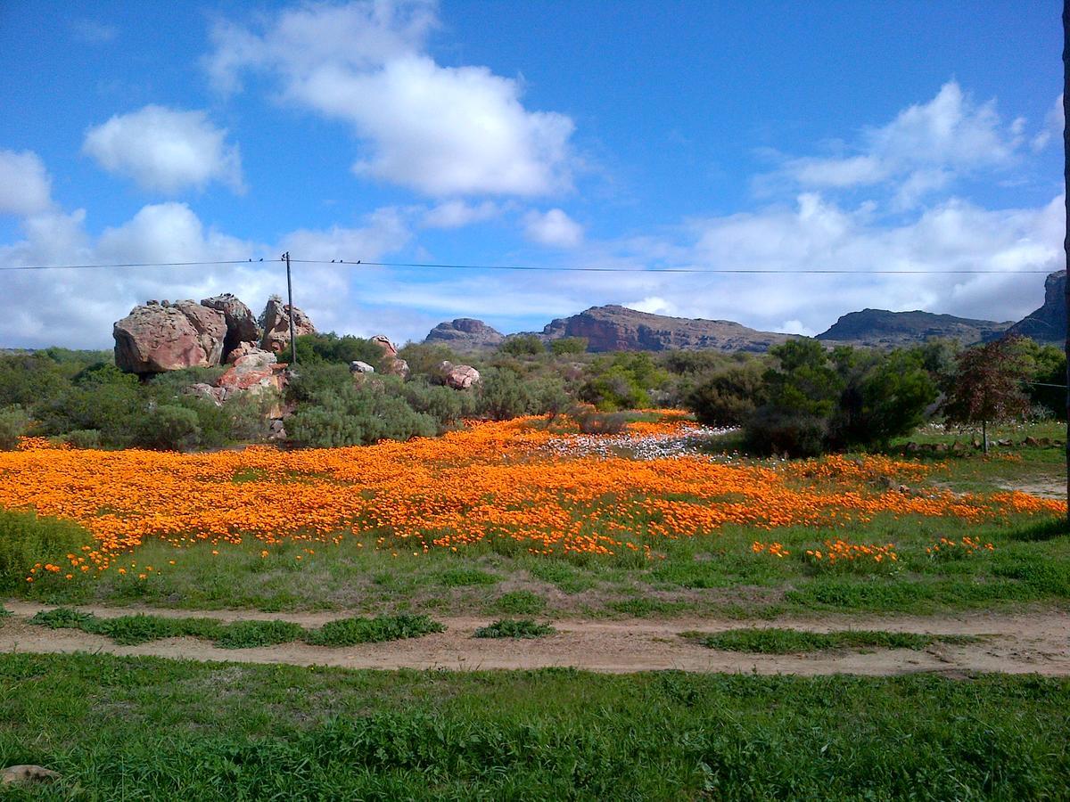 Vila De Pakhuys Clanwilliam Exteriér fotografie