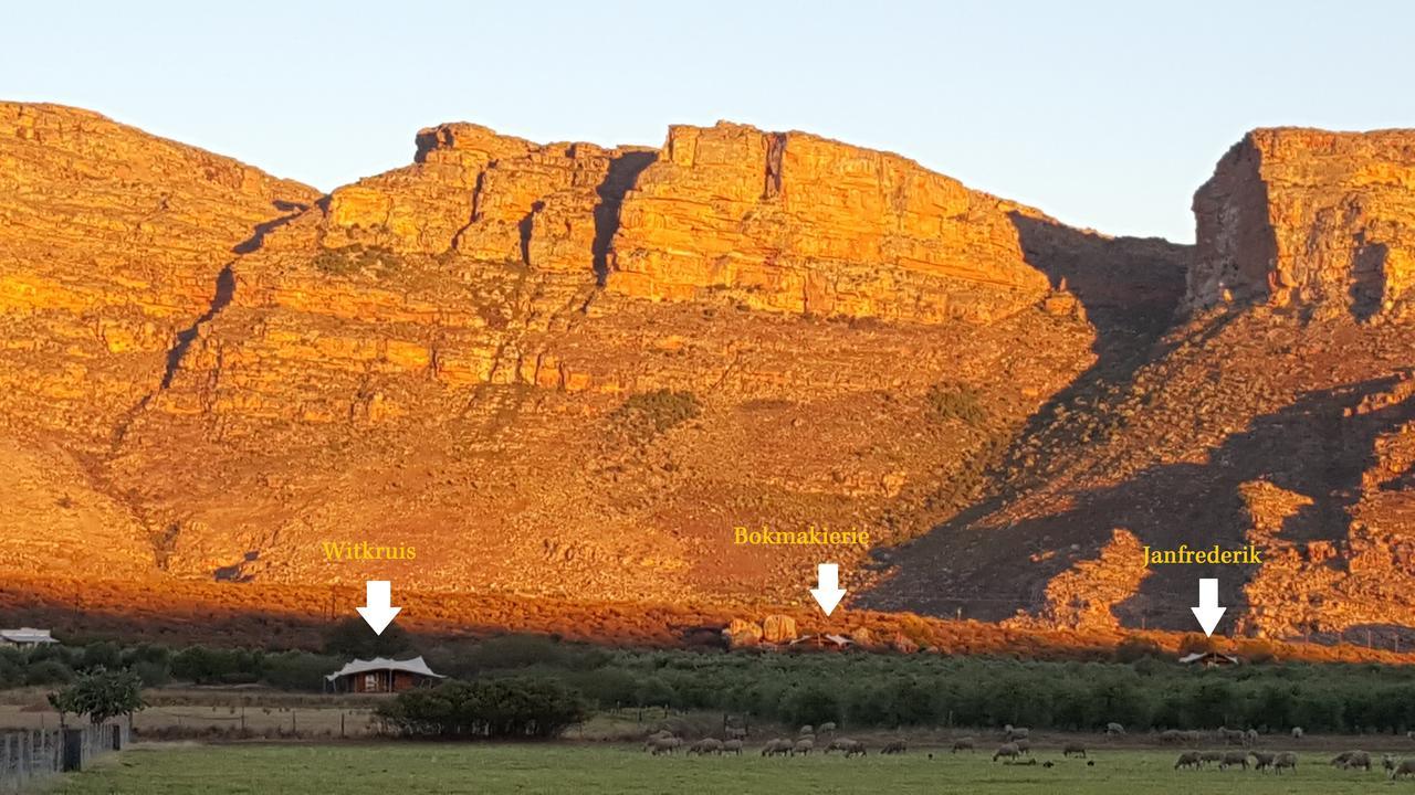 Vila De Pakhuys Clanwilliam Exteriér fotografie